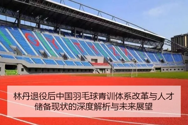 林丹退役后中国羽毛球青训体系改革与人才储备现状的深度解析与未来展望